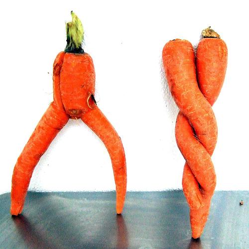 Organic Food